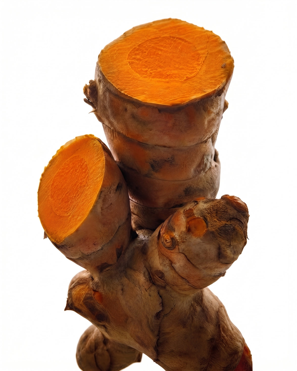 Concentrado de cúrcuma
