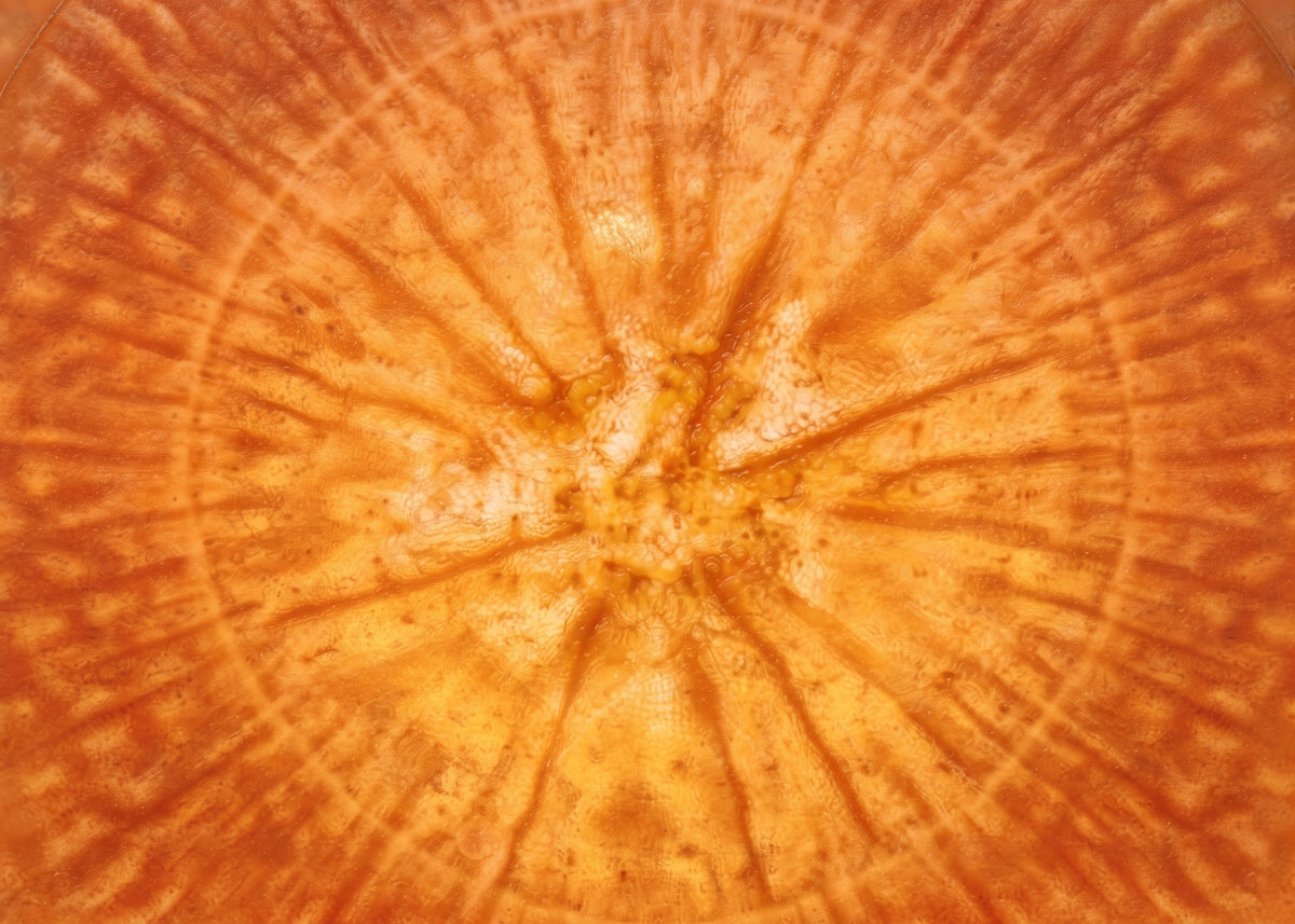 Carrot concentrate