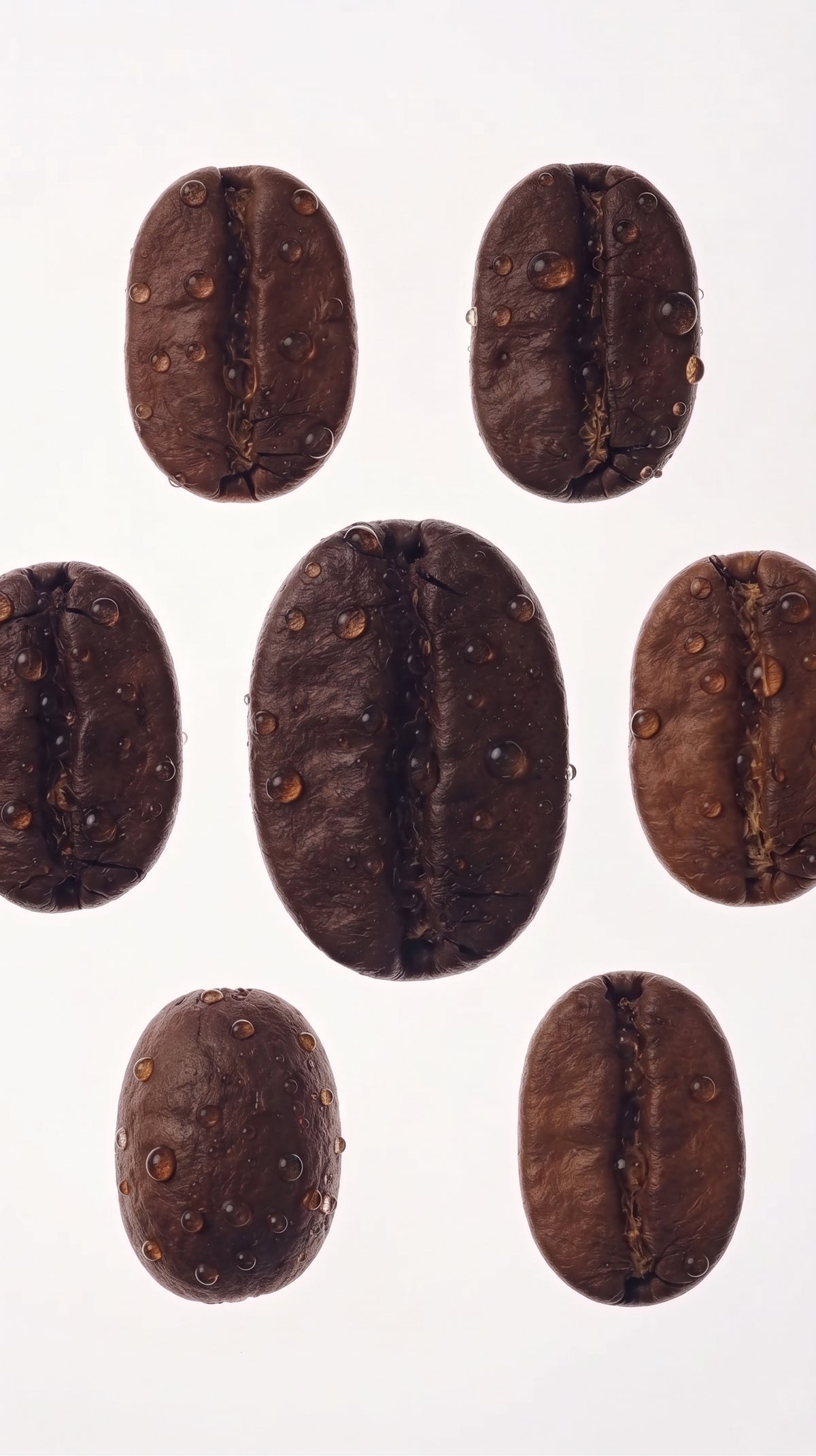 Extracto de café arábigo