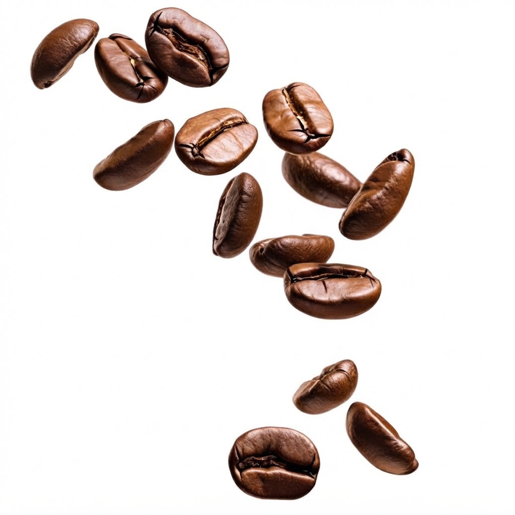 Extracto de café arábigo
