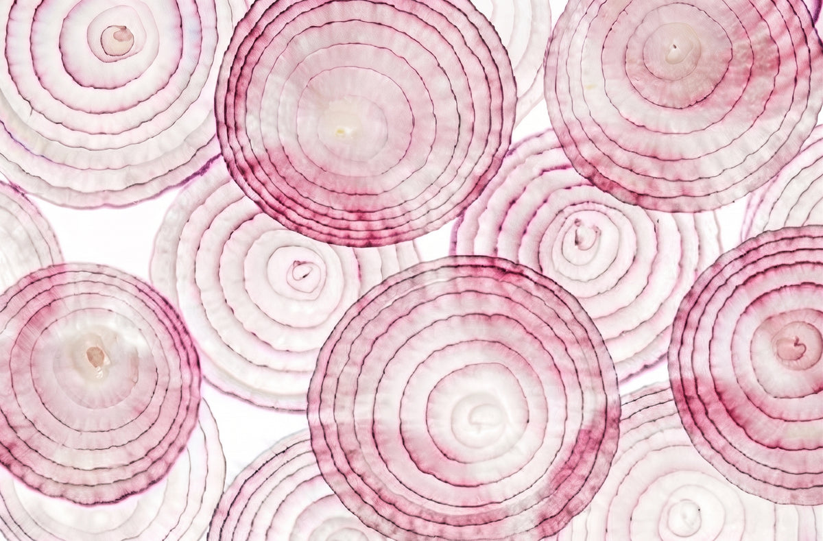 Extracto de cebolla